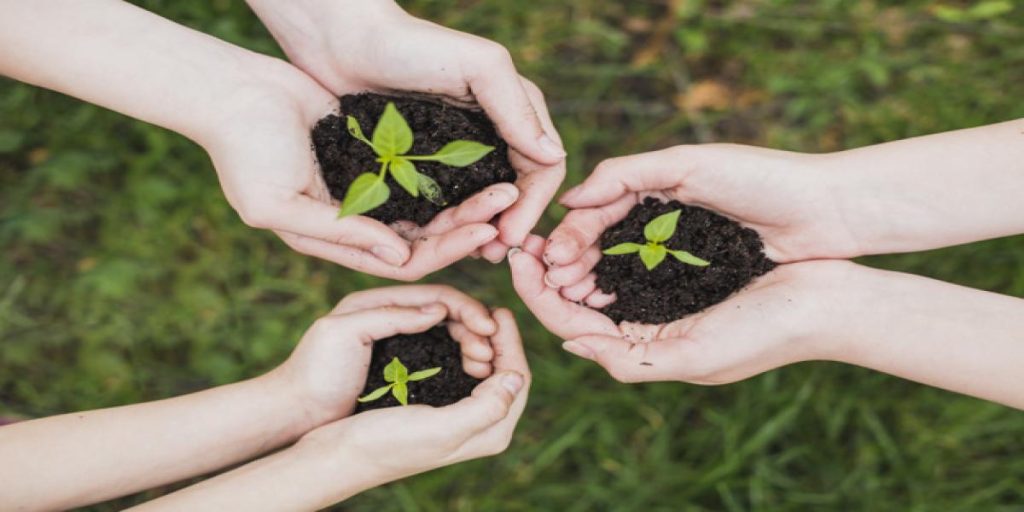 eco-concept-with-hands-holding-small-plants_23-2147807282
