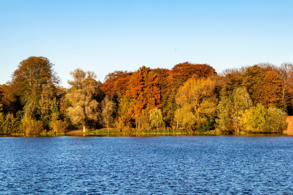 Außenalster mit herbstlichen Bäumen bei Hamburg-Uhlenhorst