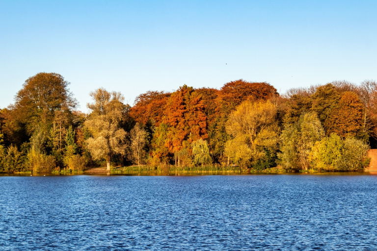 Außenalster mit herbstlichen Bäumen bei Hamburg-Uhlenhorst