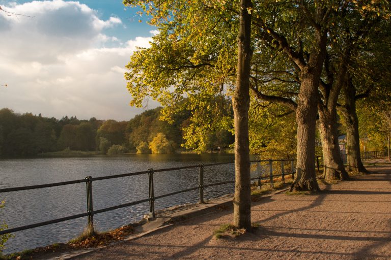 See und Spazierweg im Hamburger Stadtpark in Winterhude